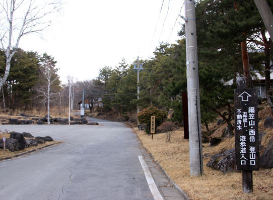 20150328amigasa-003.jpg