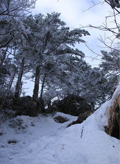 20161224inagoyutengukarasawa-014.jpg