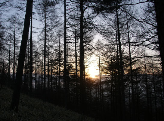 20160320gongendake-003.jpg
