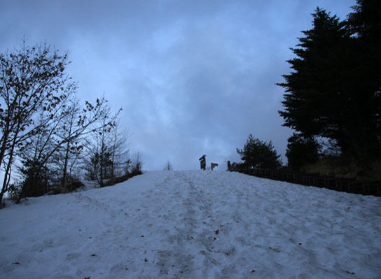 20150321mitugashira-003.jpg