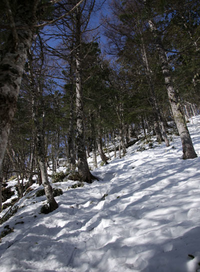 20160320gongendake-012.jpg