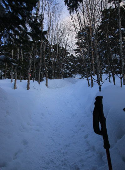 20150211tateshinayama-004.jpg