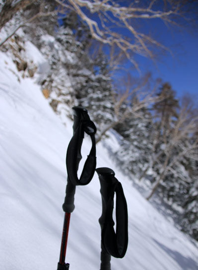 20150228higashitengu-009.jpg