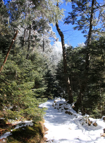 20160109oren-007.jpg