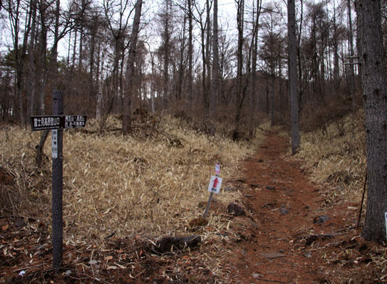 20150328amigasa-004.jpg
