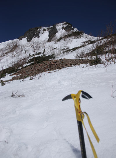 20160320gongendake-026.jpg