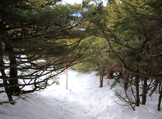 20150328amigasa-019.jpg