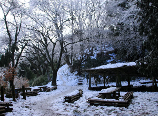 20160131kobotoke-003.jpg