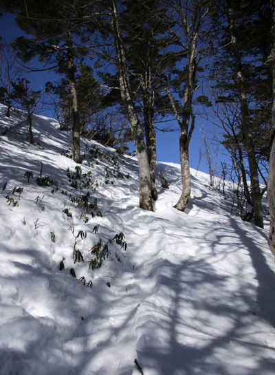 20160320gongendake-014.jpg