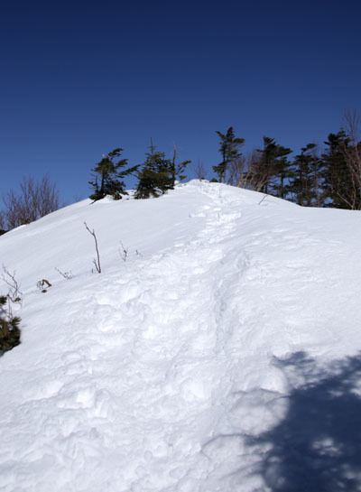 20160320gongendake-019.jpg