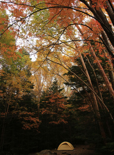 20141004new-027.jpg