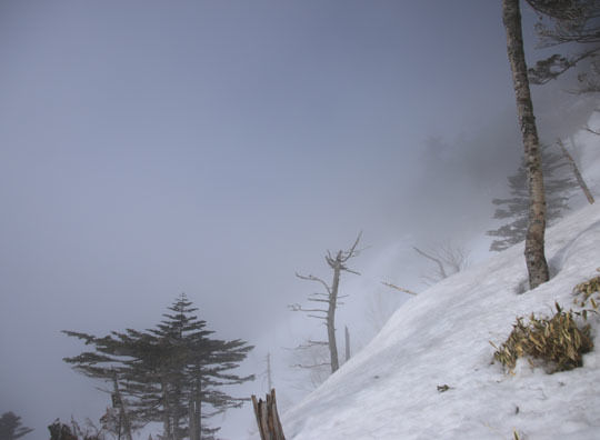 20150321mitugashira-011.jpg