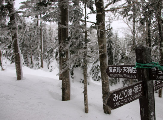 20160206tengudake-008.jpg