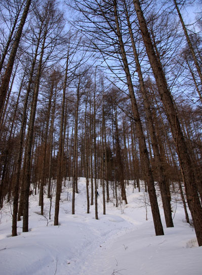 20150228higashitengu-003.jpg