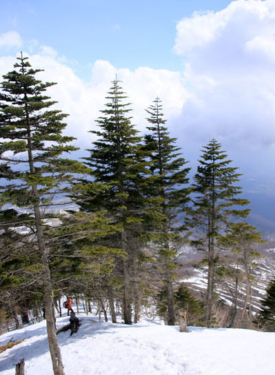 20150321mitugashira-025.jpg
