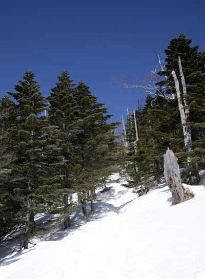 20160320gongendake-018.jpg