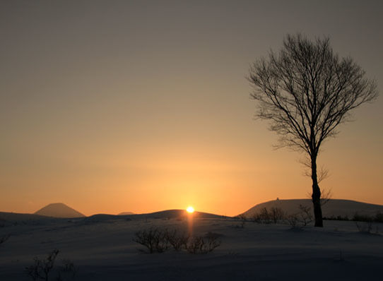 20150226washigamine-008.jpg