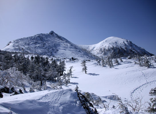 20150228higashitengu-013.jpg
