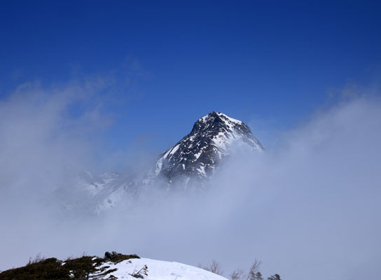 20150321mitugashira-021.jpg