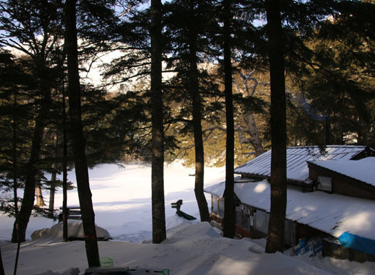 20150228higashitengu-005.jpg