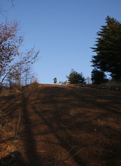 20160320gongendake-004.jpg