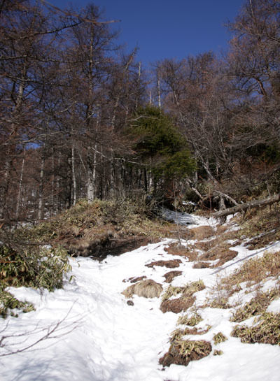 20160320gongendake-010.jpg