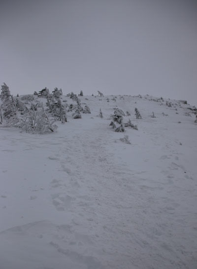 20160206tengudake-012.jpg