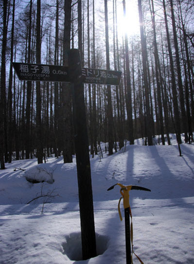 20150228higashitengu-027.jpg