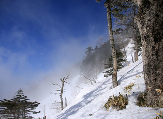 20150321mitugashira-010.jpg