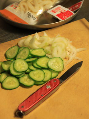ikakunsalad20110831-002