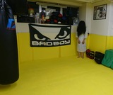 234030df.jpg