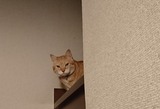 38779b65.jpg