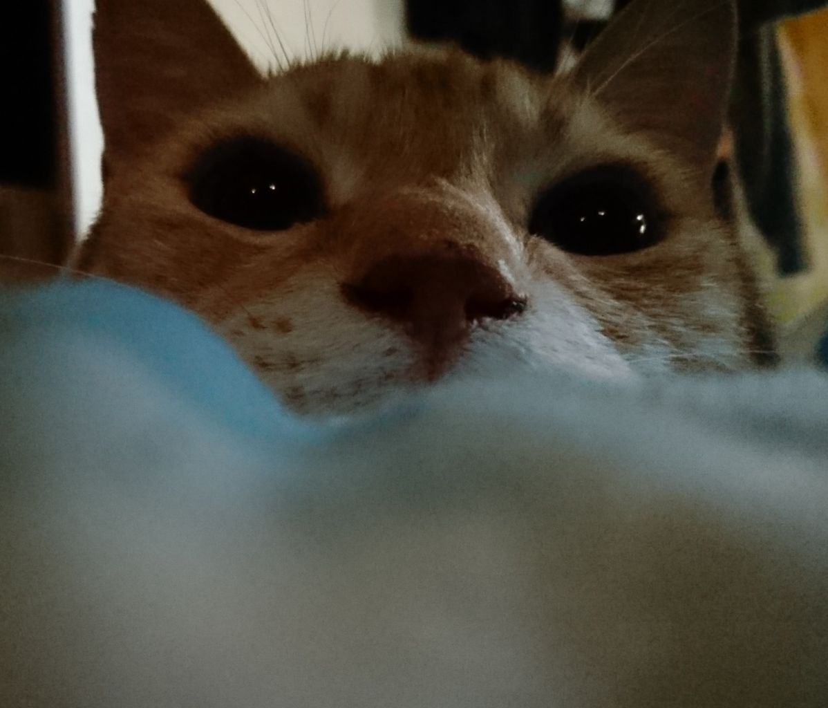 _20180511_153538