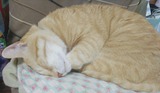 6ff78f98.jpg