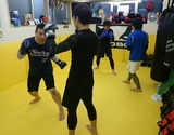 8f56ec35.jpg