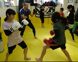 fff72516.jpg