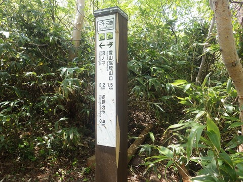 RIMG9788
