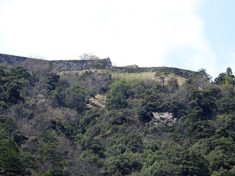 DSCN3403