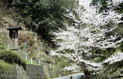 DSCN3418