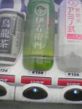 040909-003.jpg