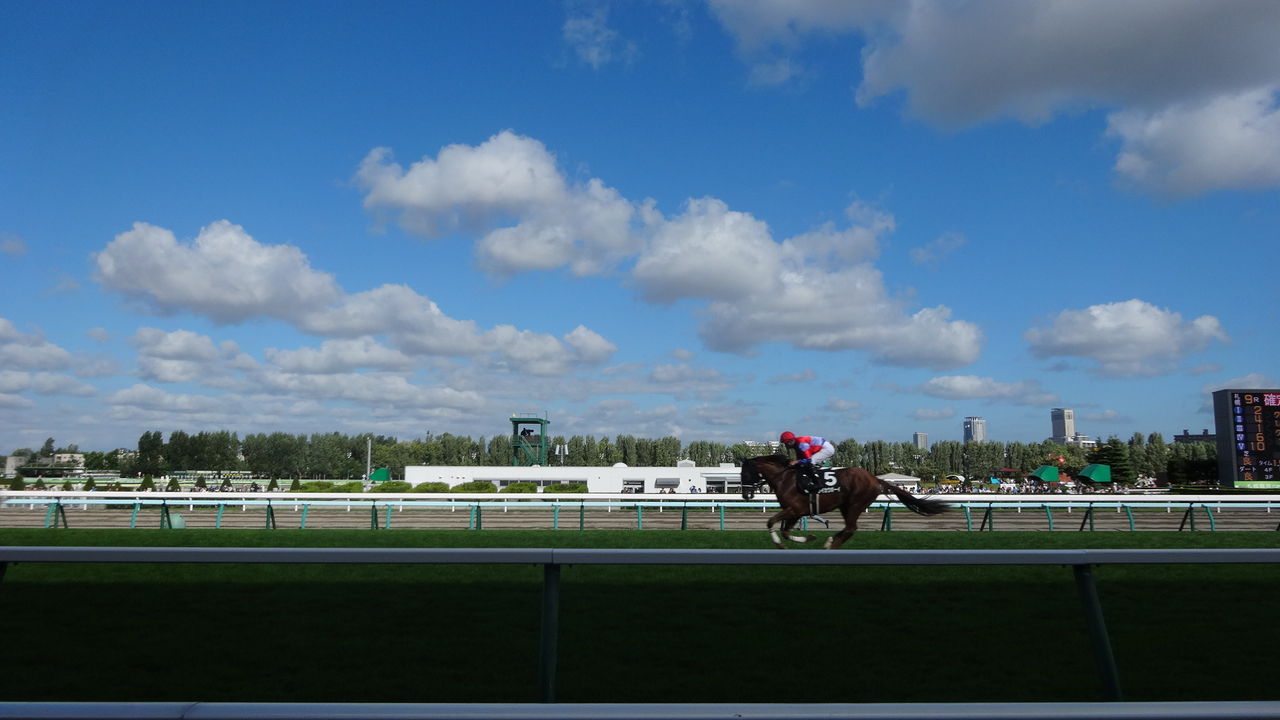 戸塚記念 17 予想 ｔａｒｏの競馬