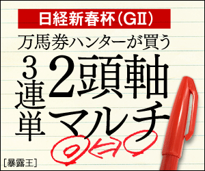 暴露王:日経新春杯300_250