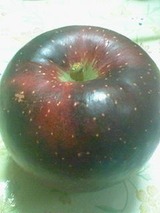 宇宙の林檎