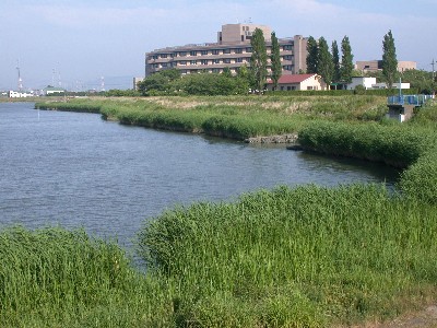 DSCN5946 油ヶ淵と碧南市民病院