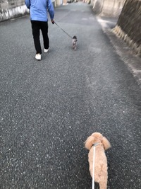 32B82933-CF6A-4C27-ABB0-F98C64122165