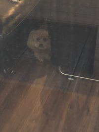 D4C6BDD5-CCA1-46F2-8E2E-F5BCC9BB7376