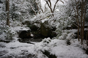 DSC03855