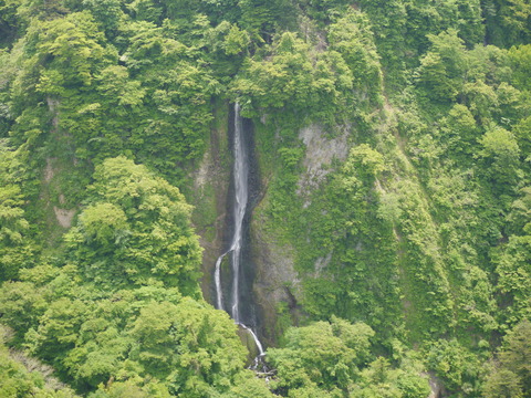 P1090176