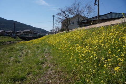DSC02530