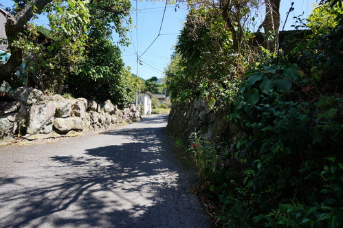 DSC00983